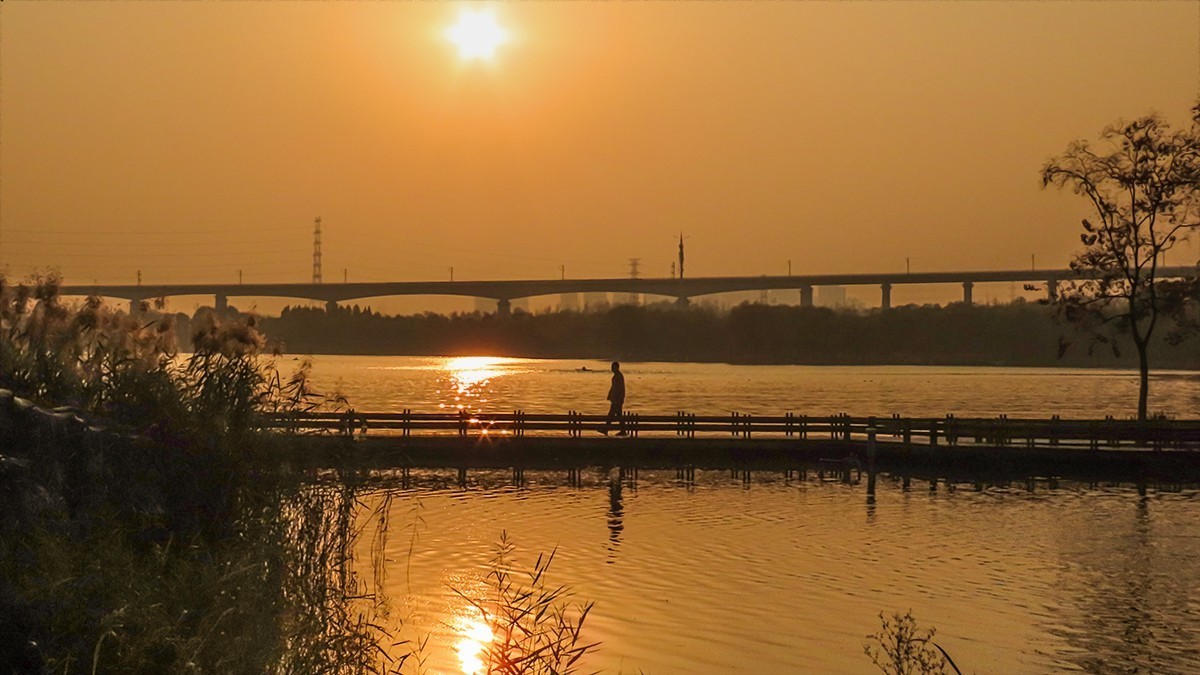 蝶湖戒指桥随拍