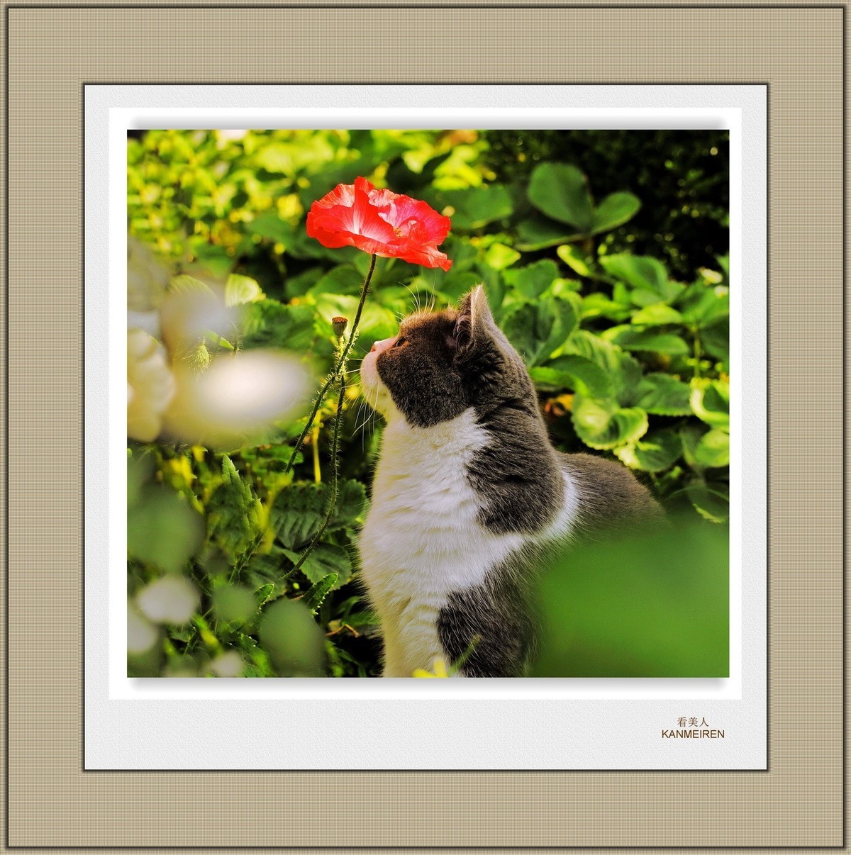 装饰画--都看看