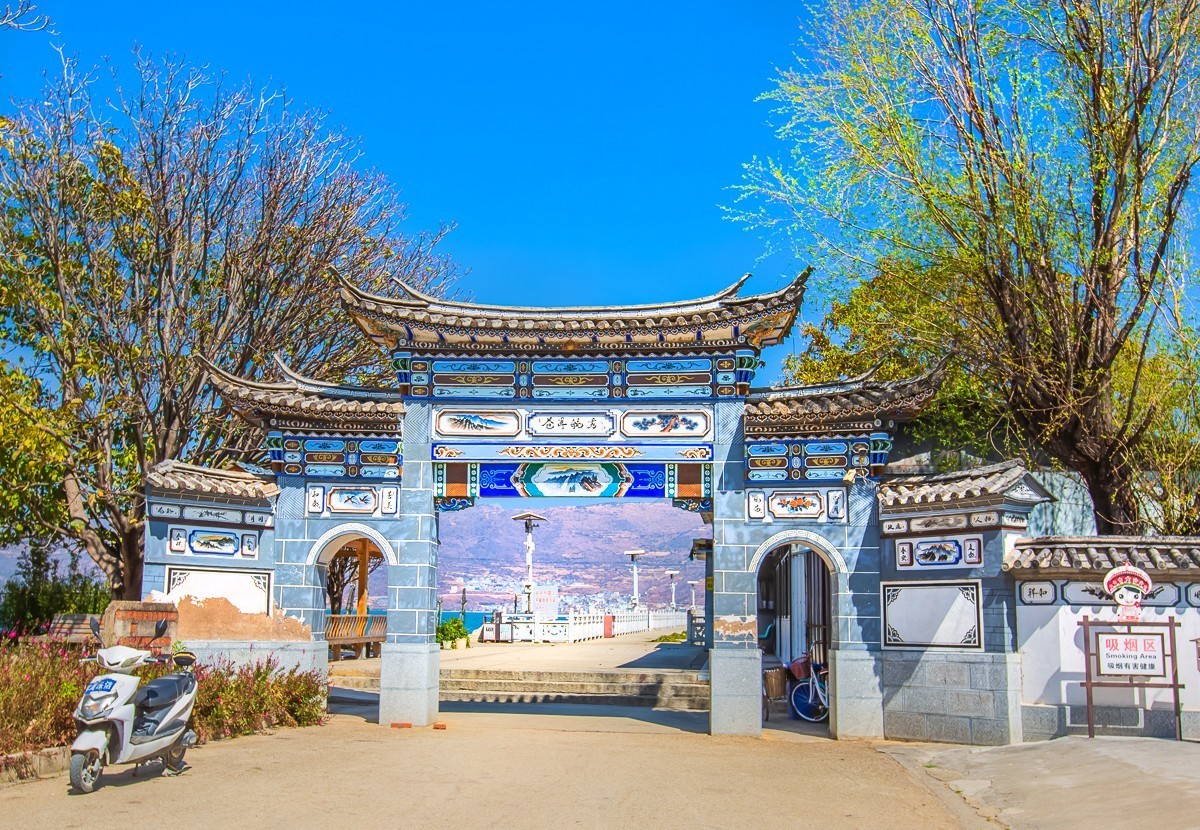 2024-08-02云南大理才村水杉林（一）