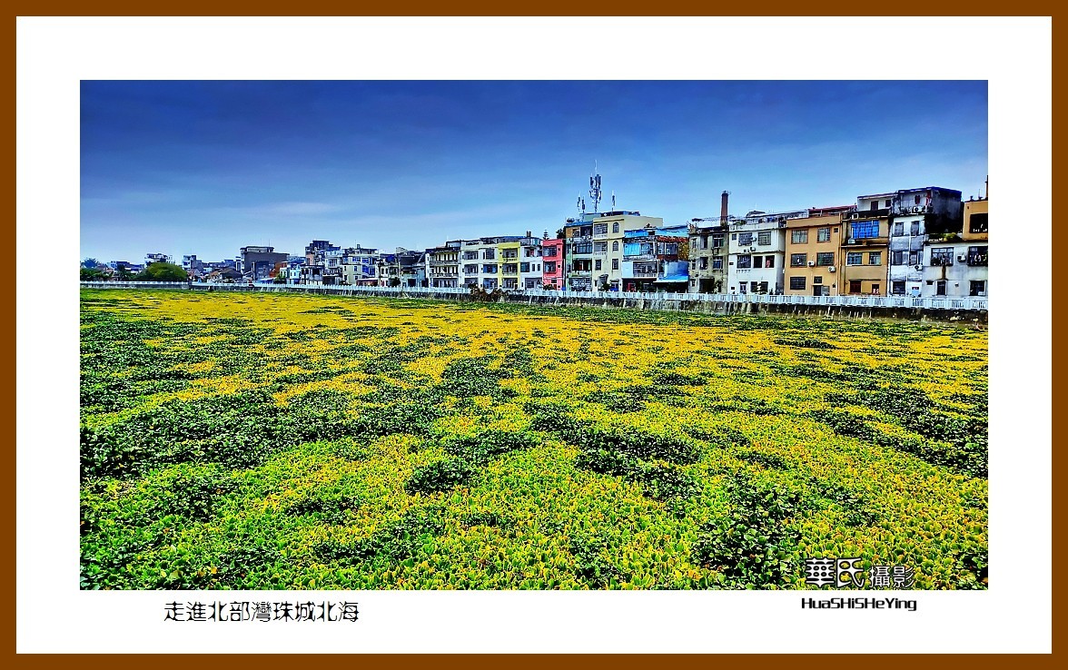 2021南行慢游（广西145）—走进北部湾珠城北海（北海市）