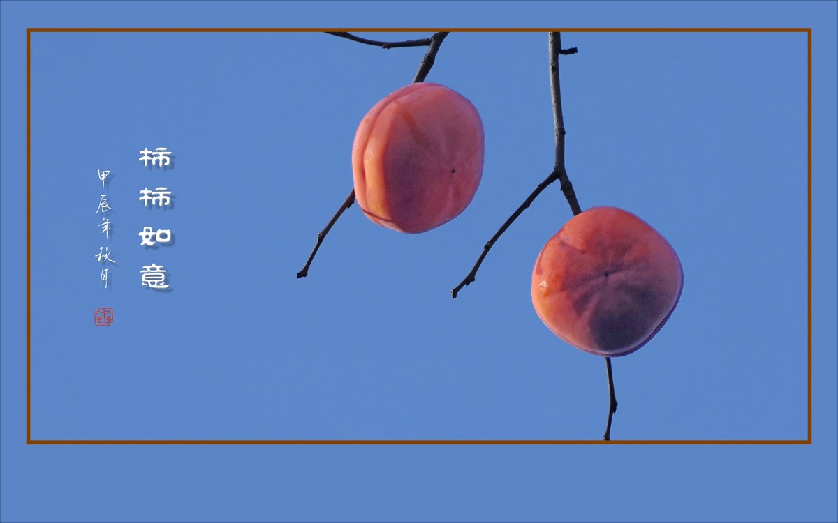 柿柿如意生，生意如柿柿