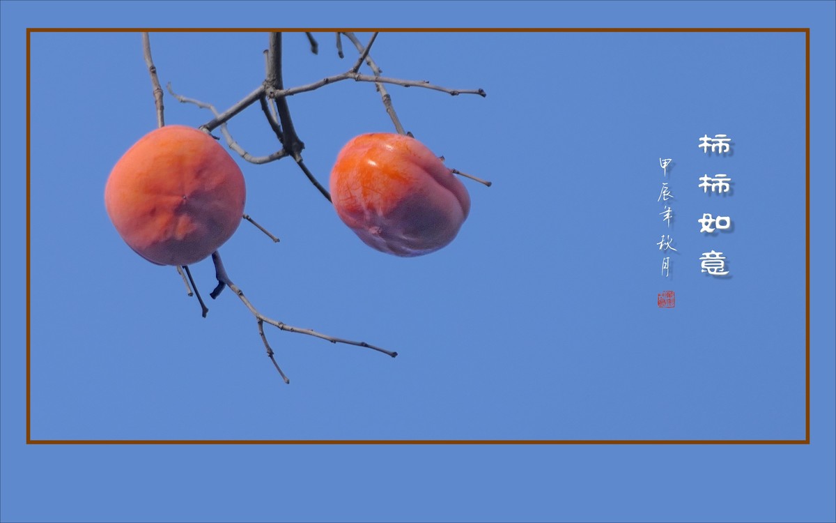 柿柿如意生，生意如柿柿