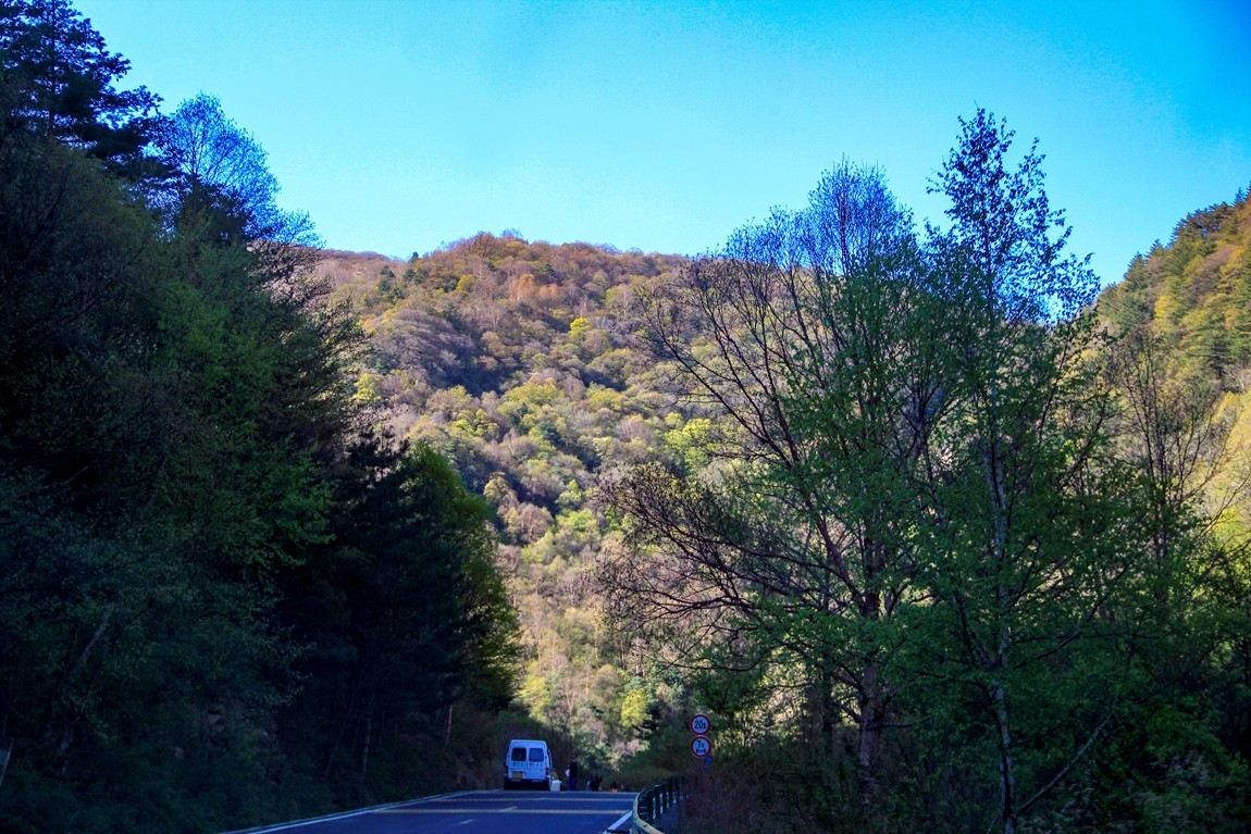 行摄太白山【2】