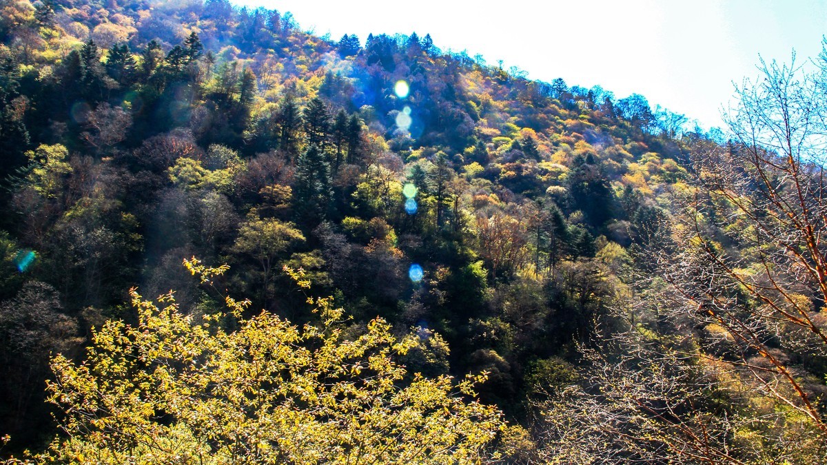 行摄太白山【2】