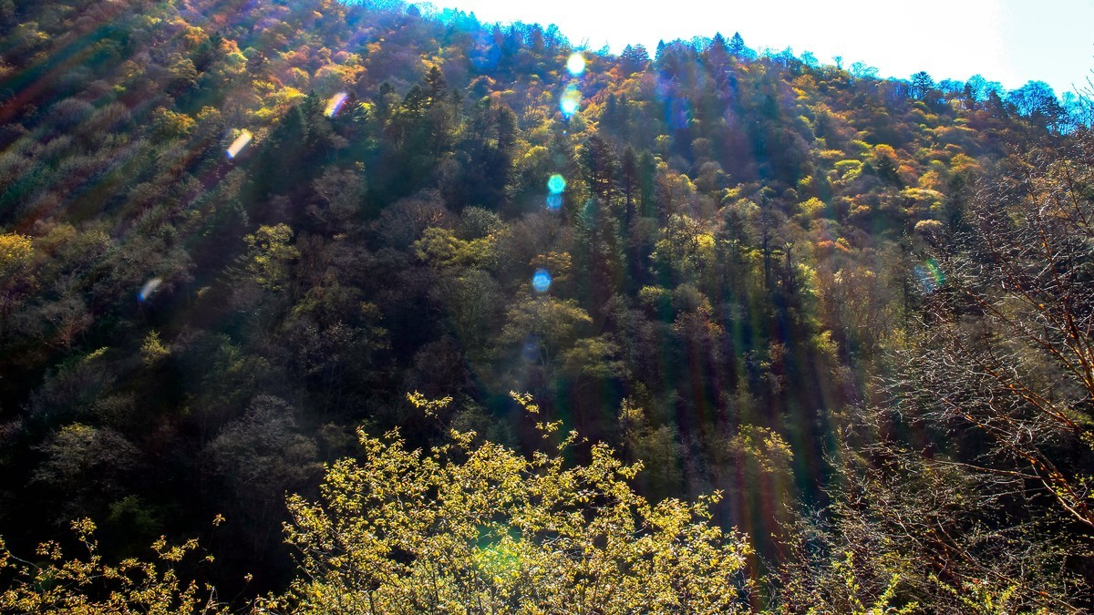 行摄太白山【2】