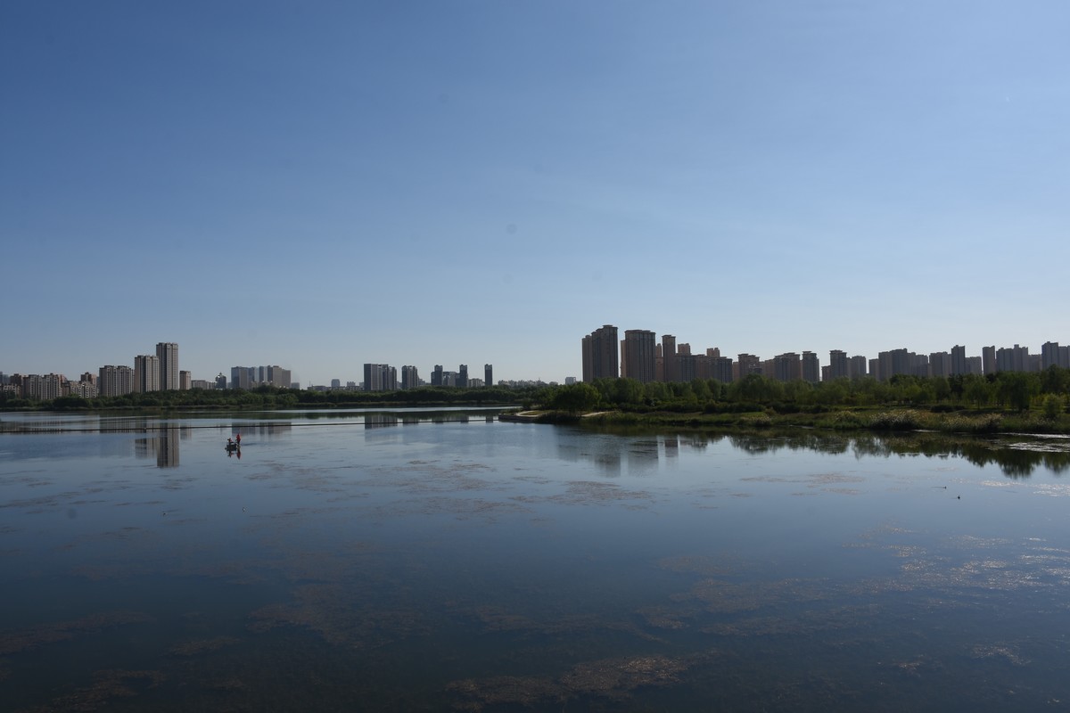 银川七子莲湖