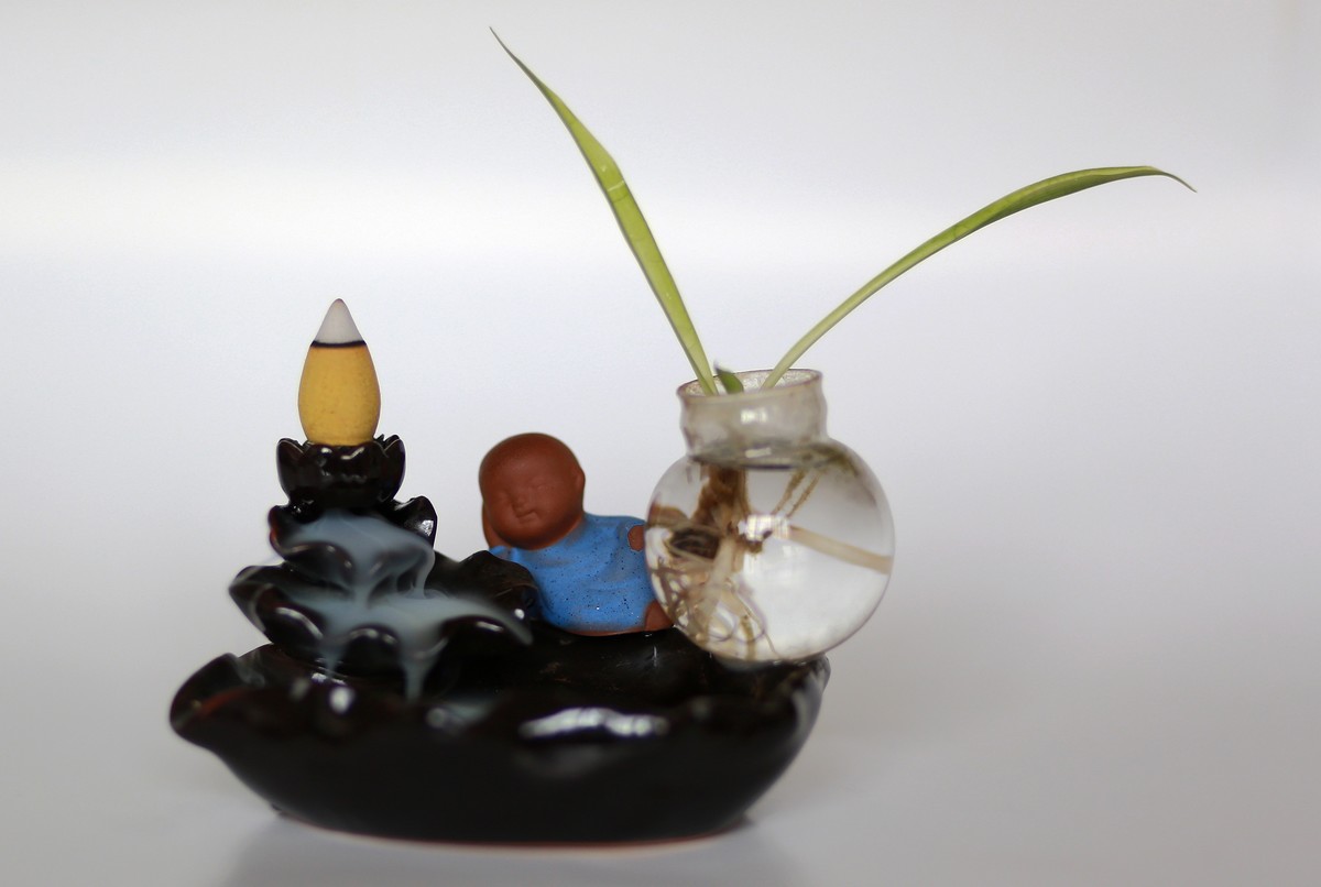 一组佳能85mm定焦镜头试镜随拍