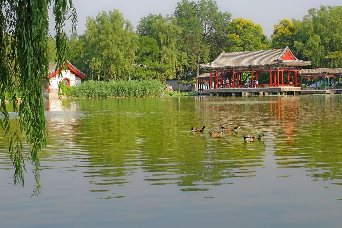 富士老机X-T1拍摄的大观园