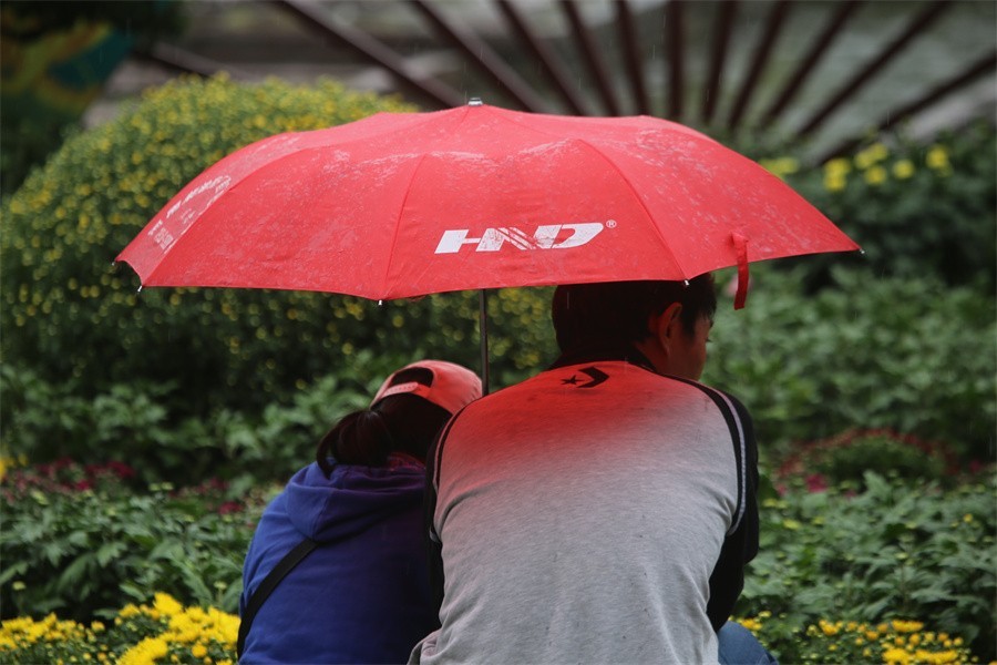 洛阳秋雨赏菊花百姓入镜来