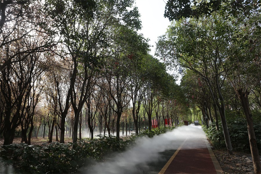 快闪洛阳的宁人坊和丛政坊的印象