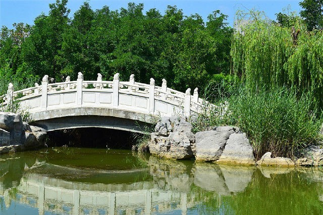 美丽天津·随拍