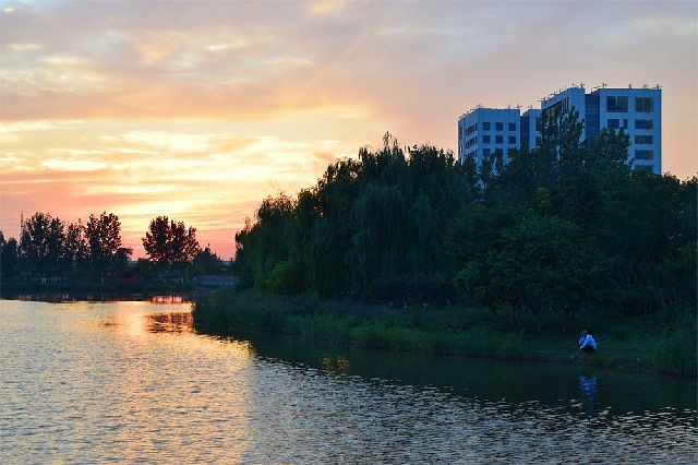 美丽天津·随拍