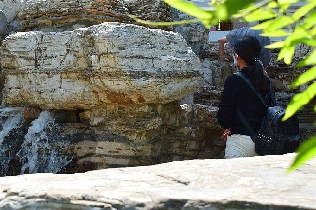 美丽天津·随拍