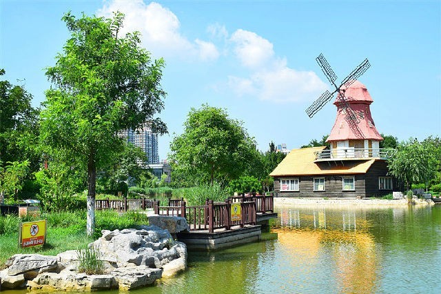 美丽天津·随拍