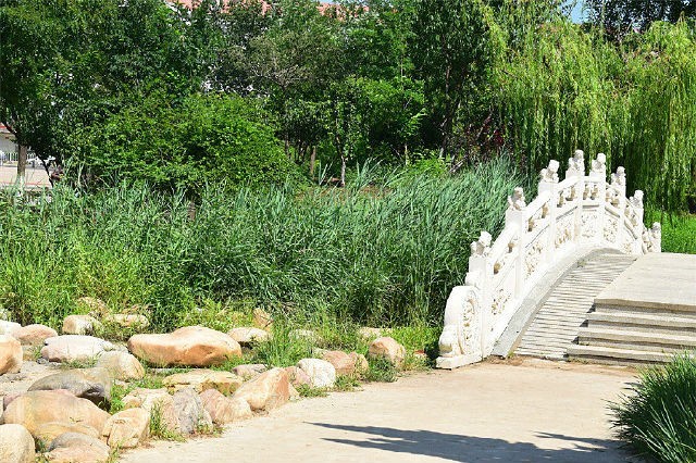 美丽天津·随拍