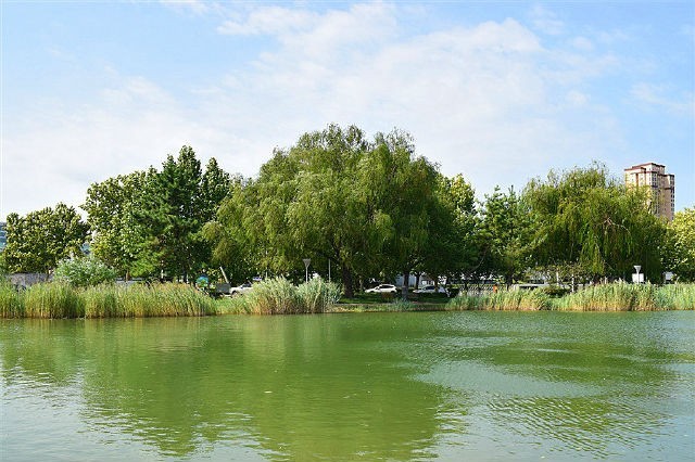 美丽天津·随拍