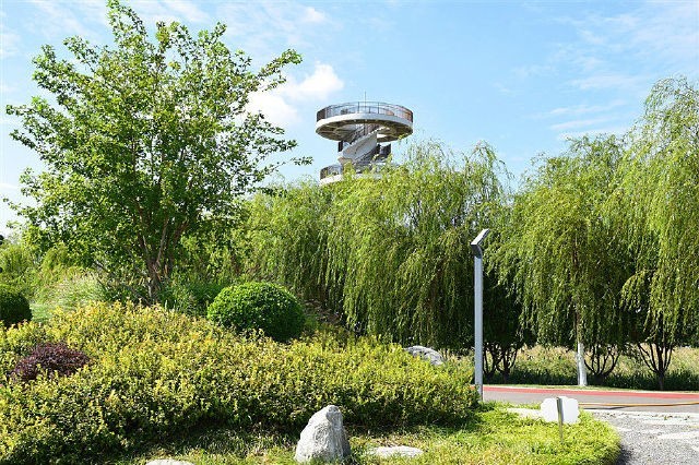 美丽天津·随拍