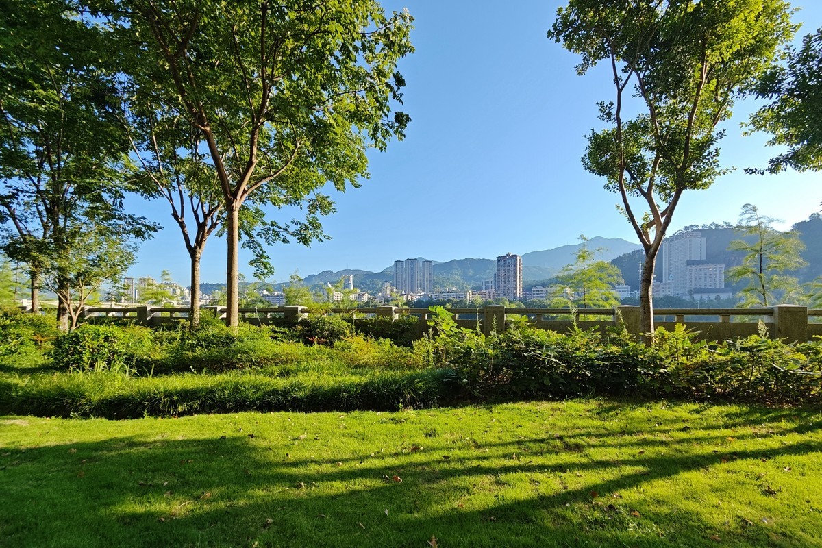 蔚来手机随拍之十一