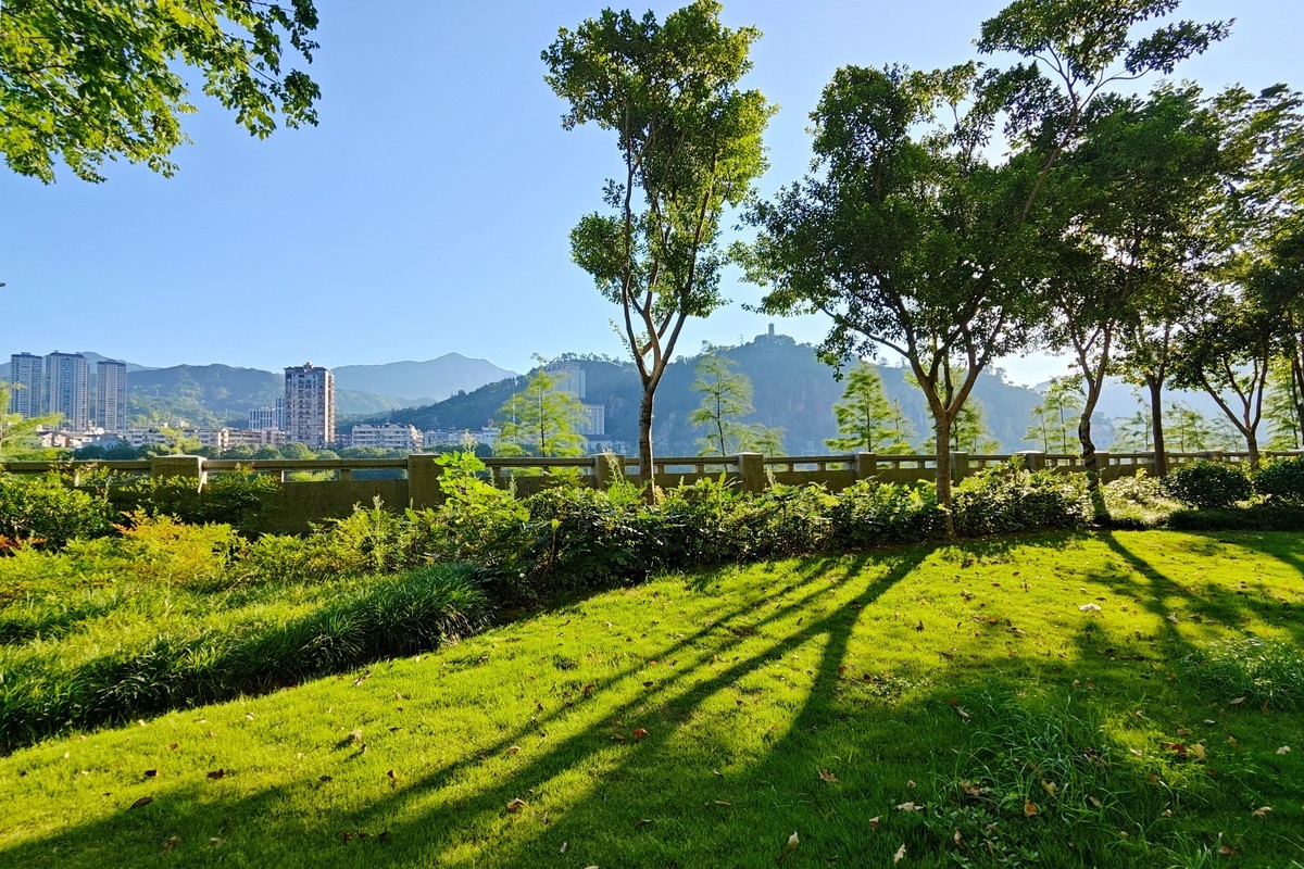 蔚来手机随拍之十一