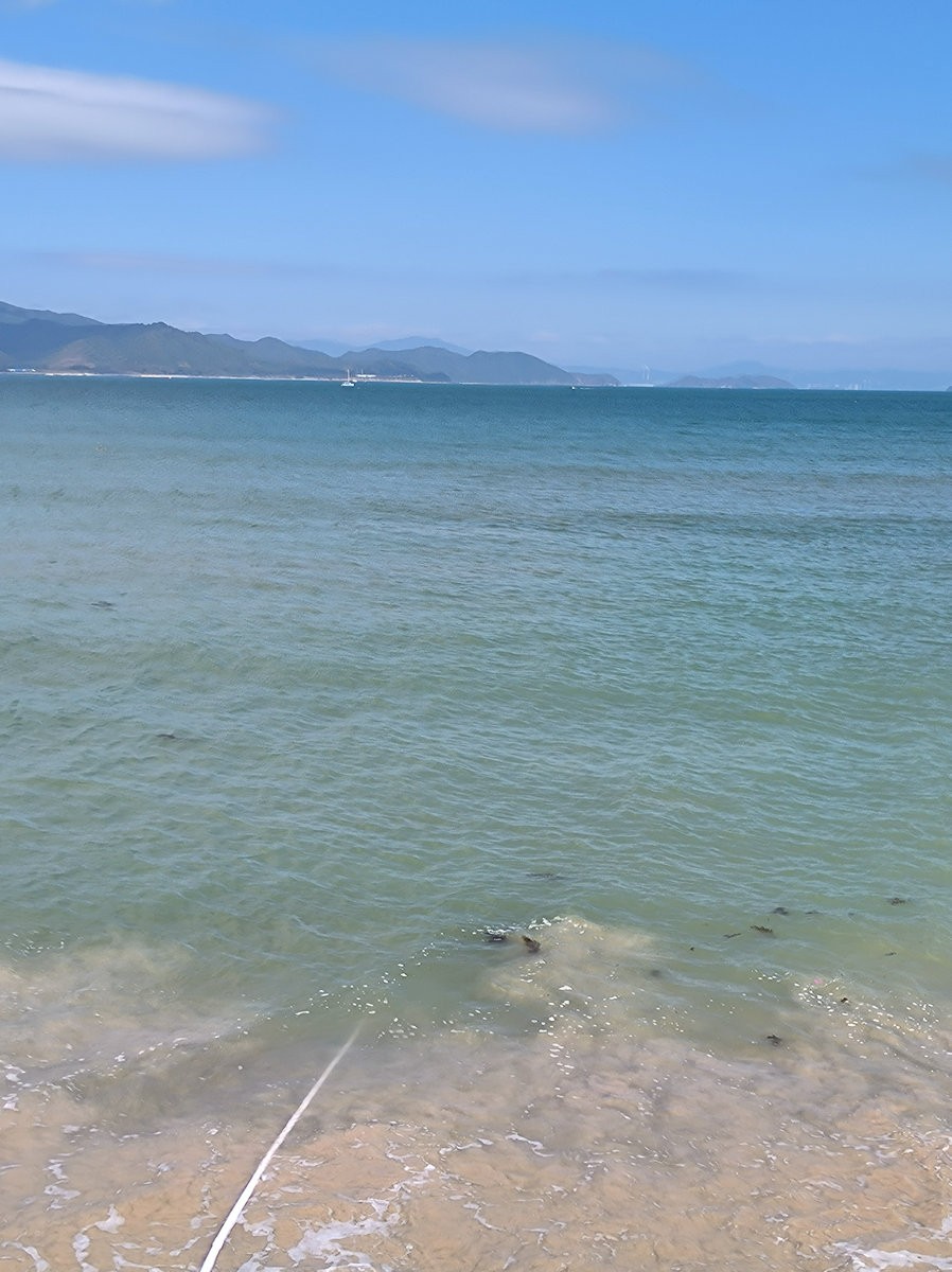 2025春节 广东行（106）流连忘返