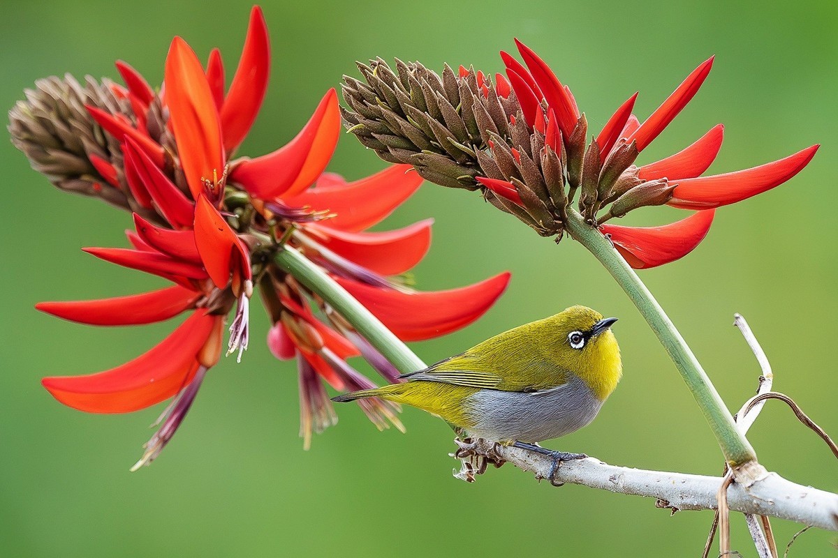 自能成羽翼，何必仰云梯。