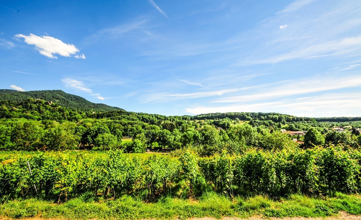 葡萄山记（残幅超广光效）