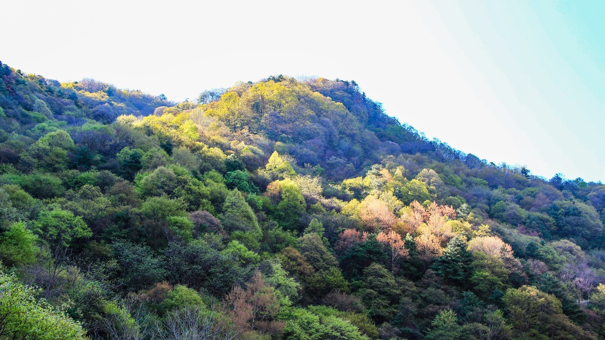 行摄太白山【2】