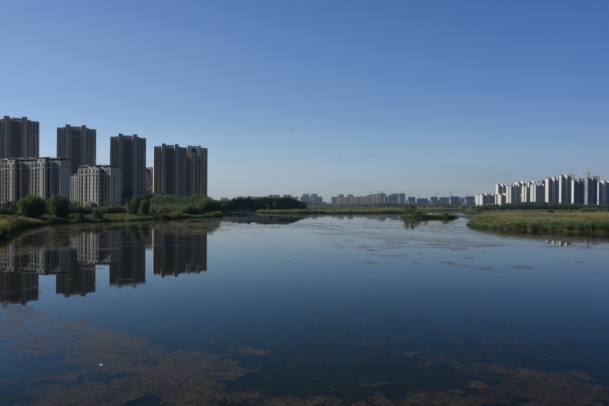 银川七子莲湖