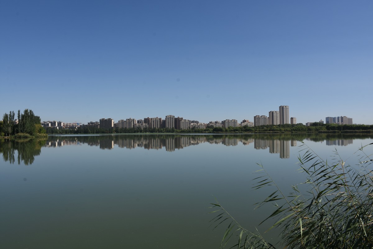 银川七子莲湖