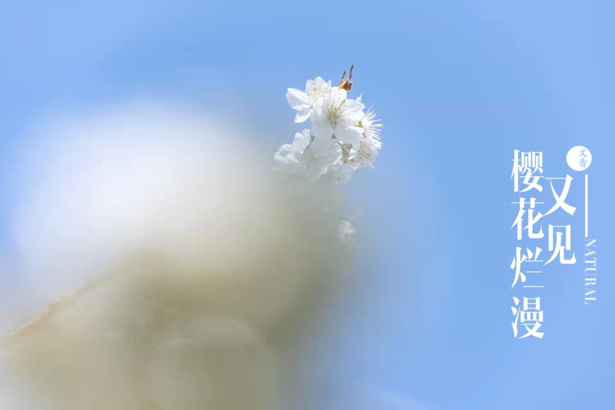 来为冷清的Z7Ⅱ凑个热闹