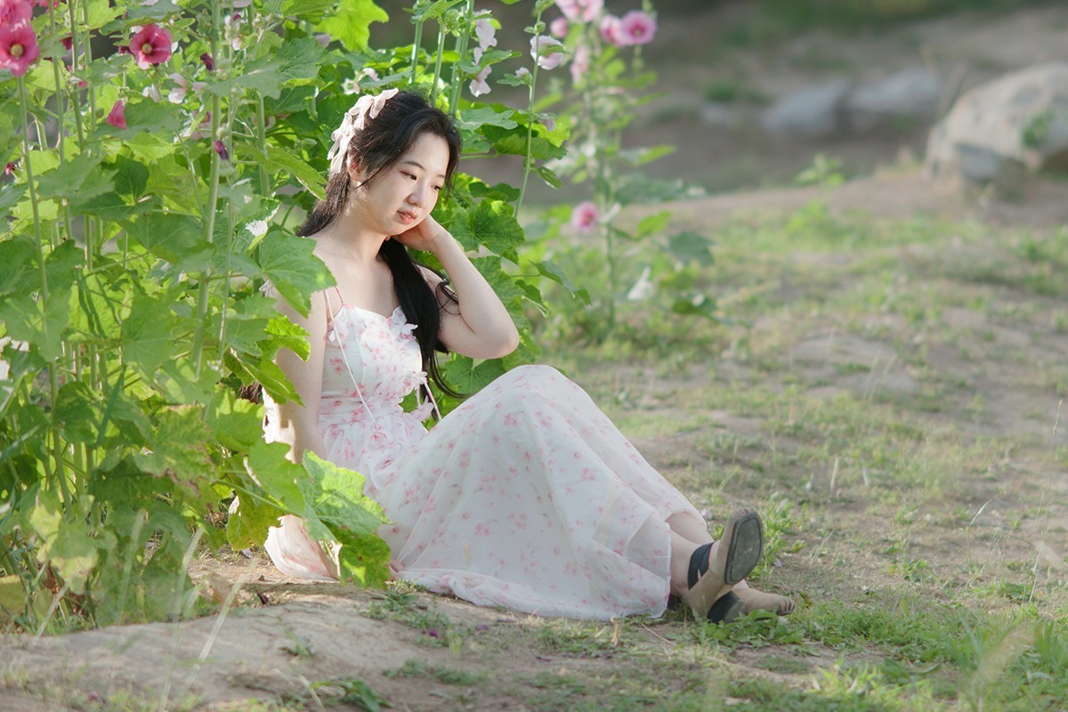 蜀葵花前拍摄人像