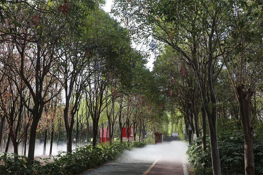 快闪洛阳的宁人坊和丛政坊的印象