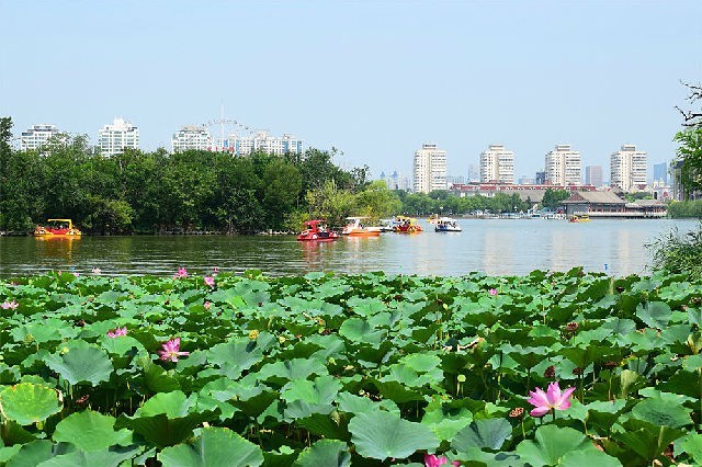 美丽天津·随拍