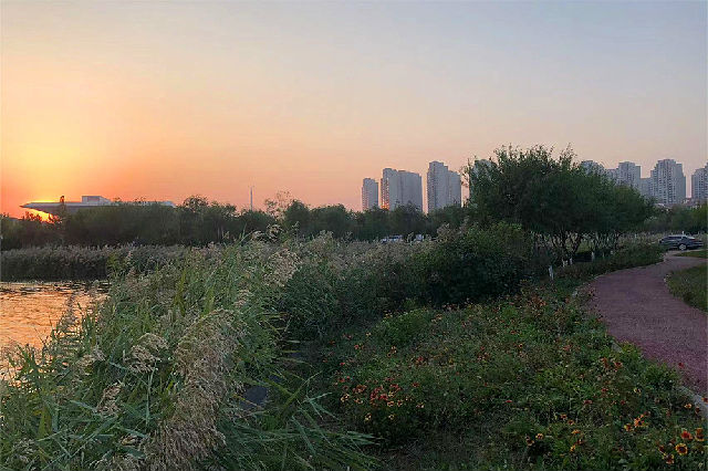 美丽天津·随拍