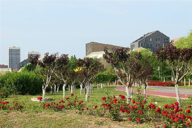 美丽天津·随拍