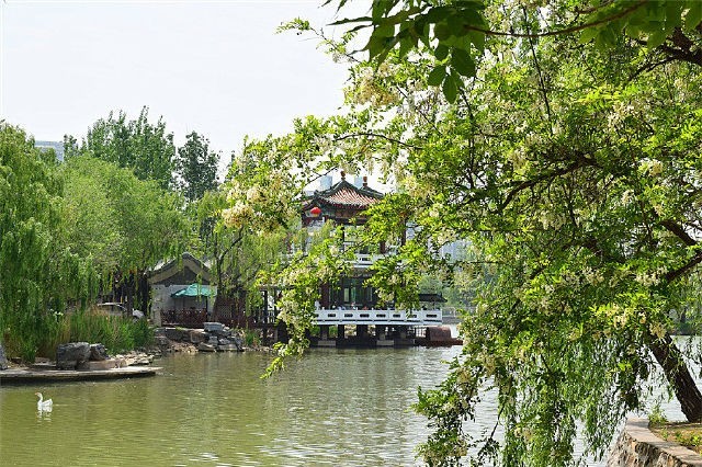 美丽天津·随拍