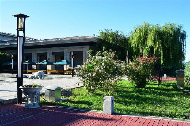 美丽天津·随拍