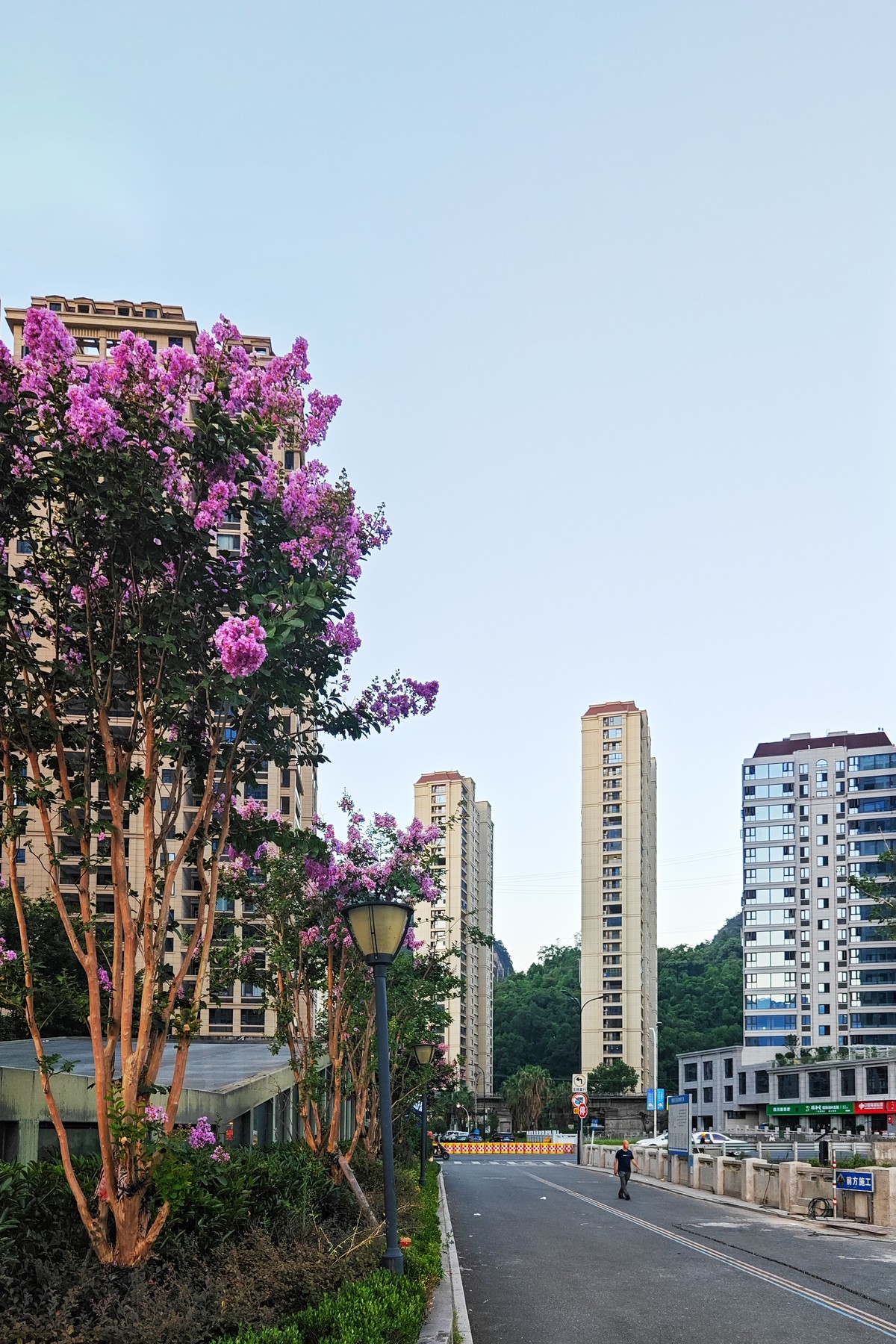 蔚来手机随拍之十一