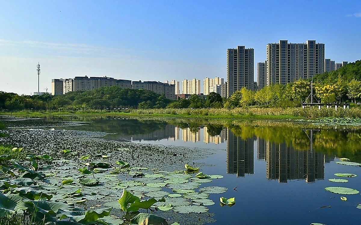 汤逊湖游拍