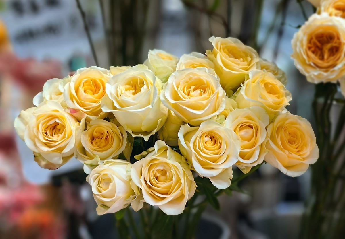 宁波k11内部随拍