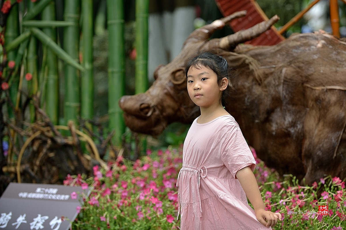 公园人像蹭拍（续33）