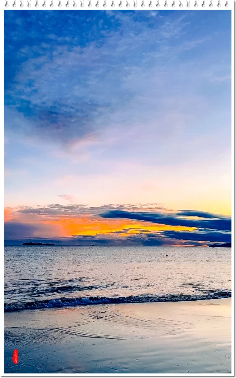 2022年海南岛抓拍-48