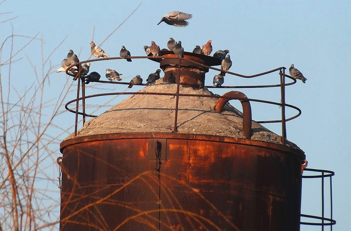 都已成为过去-11P