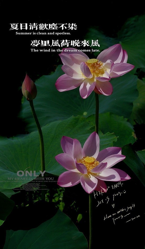 #版主坐堂# 尼康D5100星空(中国)2023年7月份优秀作品精选汇总