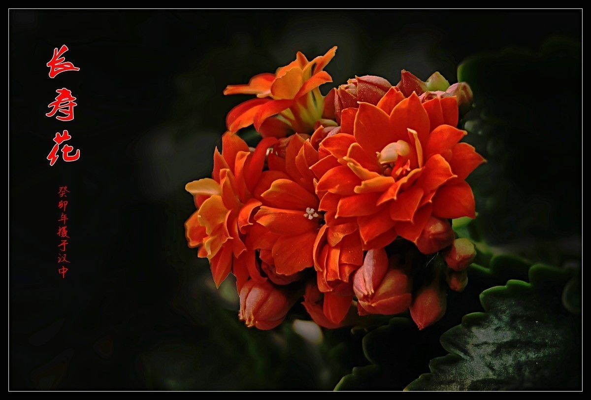 #版主坐堂# 尼康D5100星空(中国)2023年7月份优秀作品精选汇总