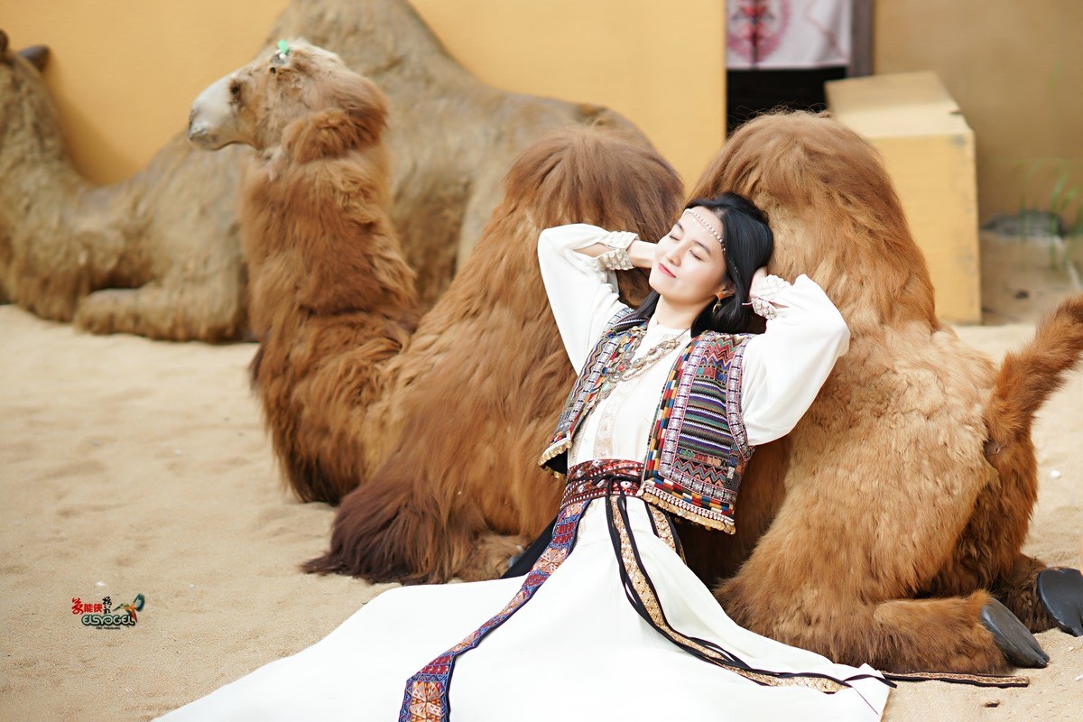 【骆驼女郎】---沛阳