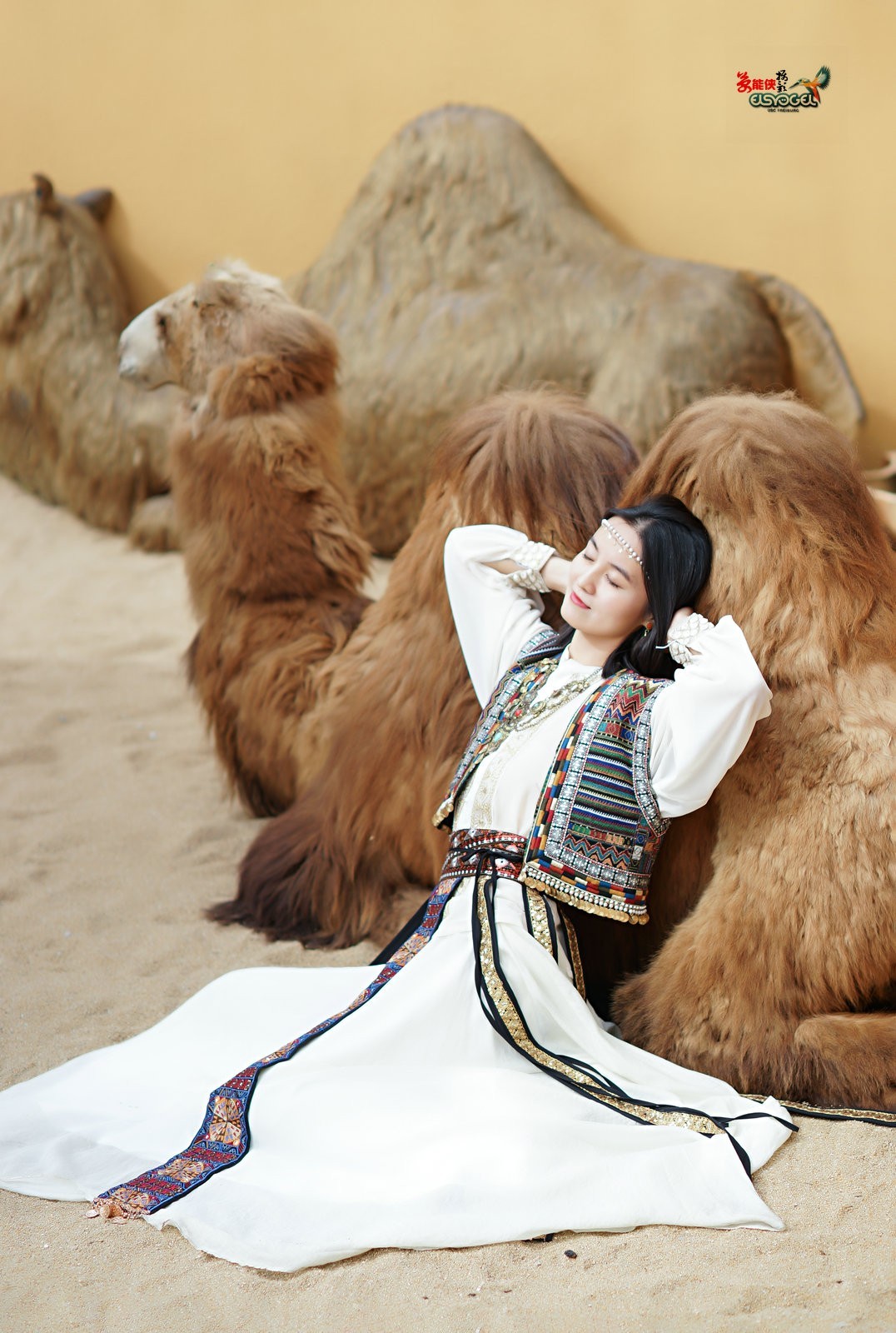 【骆驼女郎】---沛阳