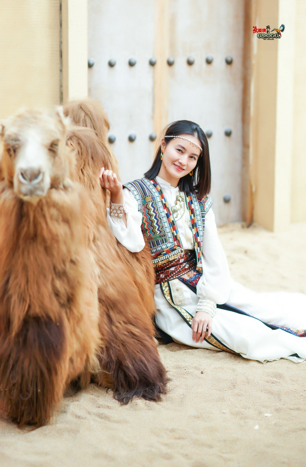 【骆驼女郎】---沛阳