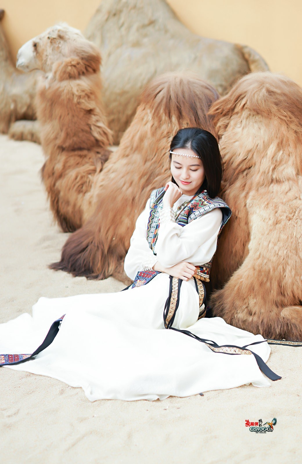 【骆驼女郎】---沛阳