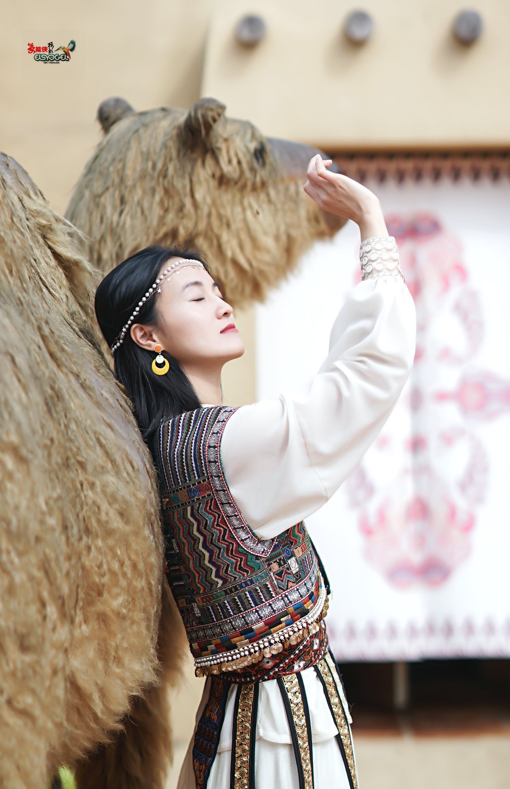 【骆驼女郎】---沛阳